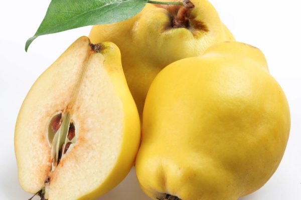 Two quinces with a leaf and its half on a white background